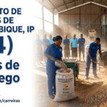 INSTITUTO DE CEREAIS DE MOÇAMBIQUE, IP