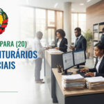 Tribunal Administrativo