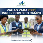 Celinka Survey Consultoria