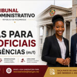 Tribunal Administrativo