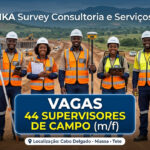 CELINKA Survey Consultoria e Serviços Ltd