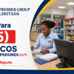 PREMIER GROUP LIMITADA