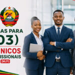 Tribunal Administrativo