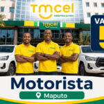 Tmcel